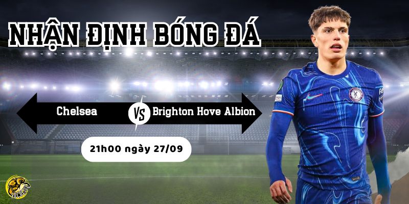 Lịch sử đối đầu của Chelsea vs Brighton Hove Albion